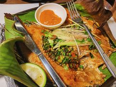 傣族香茅草烤罗非鱼-雀舞·私食(凯德店)