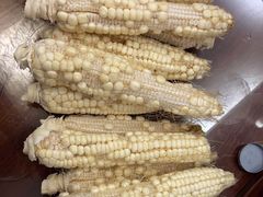 -前小桔亲子创意农场·草莓采摘·露营烧烤