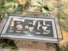 -马鞍山市博物馆