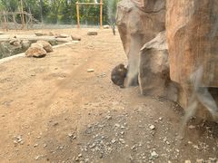 -大青山野生动物园
