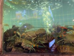 -冶建镜子·老南昌大排档·江西虾王(总店)