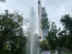 -九龙公园