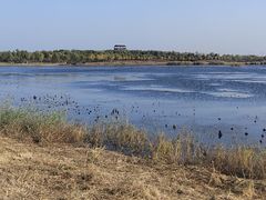 -天津东丽湖风景区
