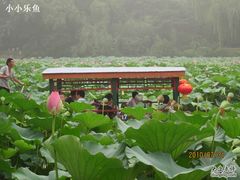 -紫竹院公园冰场