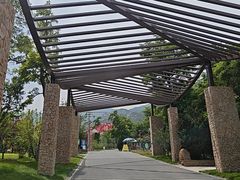 -北京凤凰岭