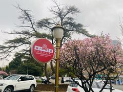 -南京钟山宾馆(江苏省会议中心)