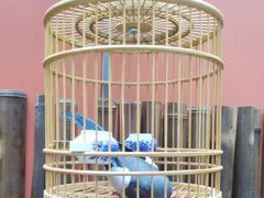 -了凡国风主题茶馆·咖啡(武侯祠锦里店)