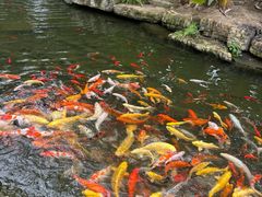 -南通洲际绿博园