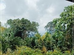 -七仙岭温泉国家森林公园