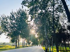 -汉长安城未央宫国家考古遗址公园