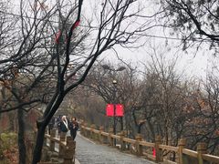 -灵岩山风景区