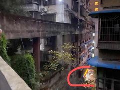 -陈有良尖椒鸡(渝中示范店)
