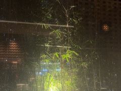 -君悦酒店·1881·北京烤鸭