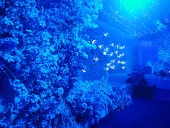 -好友缘酒家(会展中心店)