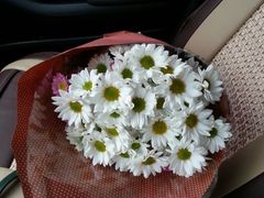 android_upload_pic-花木兰花艺MULAN(温馨花园店)