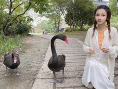-长兴太湖图影湿地文化园