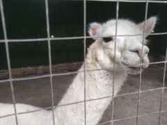 -田园寨农园观光园