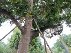 -福建鲤鱼洲酒店