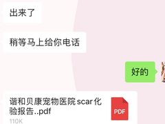 -谐和贝康宠物医院24小时·宠保定点(急重症转诊中心)