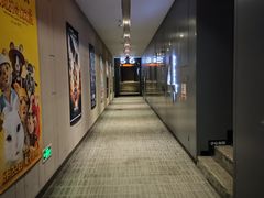 -汉阳天河电影城(王家湾店)