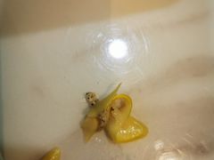 -熊猫主题餐厅