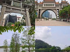 -顺峰山公园