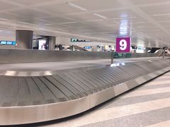 -米兰马尔彭萨国际机场