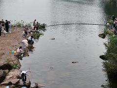 -重庆彩云湖湿地公园