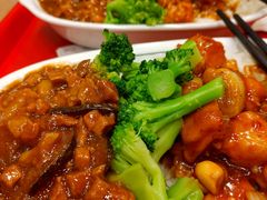 宫爆鸡丁拼卤肉饭双拼-和合谷(北新桥店)