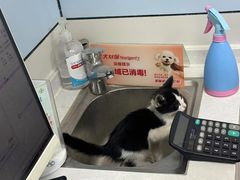-中农国际动物医院24小时·猫科·骨科·急重症中心