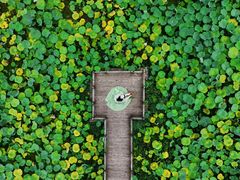 -清漾毛氏文化村