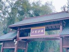 -大京沙滩