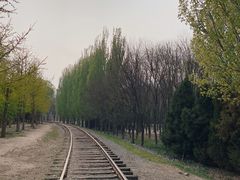 -将府公园