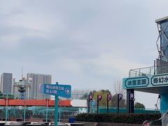 -海合安武汉极地海洋公园