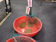 -高坎一品甲鱼庄(两河店)