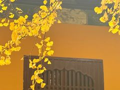 -西园寺素食(西园弄戒幢律寺店)