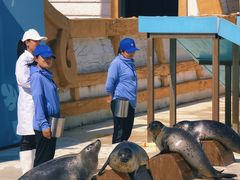 -秦皇岛乐岛海洋王国