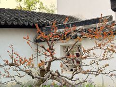 -嵖岈山风景区