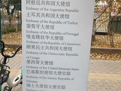-三里屯东五街银杏大道