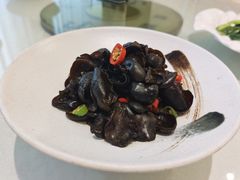 养生小木耳-骏莱海鲜鱼港(五角场店)