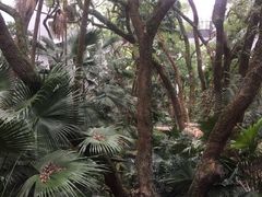-香港大学