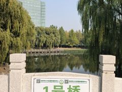 -大兴滨河森林公园