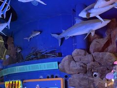 -烟台海昌鲸鲨海洋公园