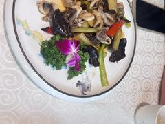 XO酱爆八爪鱼-粤秀小厨·广式早茶(辽宁路店)