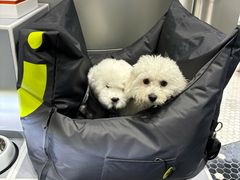 -上海浦东smart汽车全功能店(金桥店)