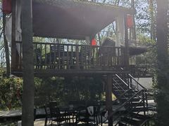 -合肥滨湖国家森林公园