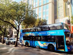 -BUS TOUR观光巴士
