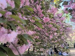 -莲花池公园