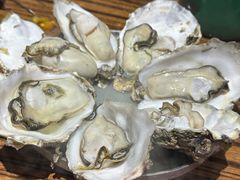 -蚝堡海鲜·威海菜·海肠捞饭·烧烤·亚洲吃蚝公司(幸福门店)