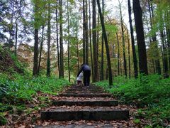 -山王坪喀斯特国家生态公园